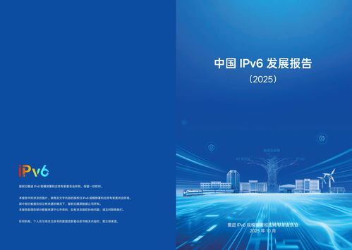 IPv6在我國實(shí)現(xiàn)跨越式突破 網(wǎng)絡(luò)技術(shù)開發(fā)驅(qū)動(dòng)2025年活躍用戶達(dá)8.65億